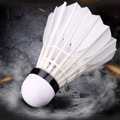 Badminton Shuttle